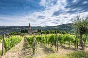 Tips for Planning a Wine Vacation | How to Plan a Wine Tasting Tour | The Best Wine Travel Trip Guide | How to Figure Out a Wine Route | Winetraveler.com