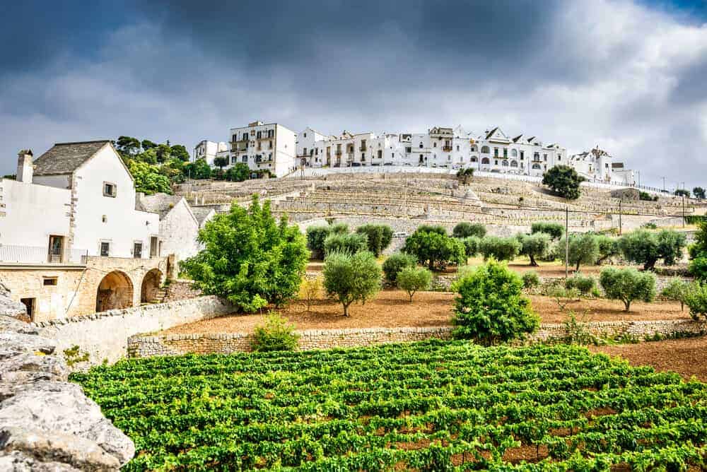 The town of Locorotondo in Puglia (Apulia), Italy. | Puglia Wine Region Information