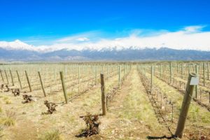 Uco Valley, Mendoza Wine Regions and Sub-Regions | Visit the Mendoza Wine Region of Argentina