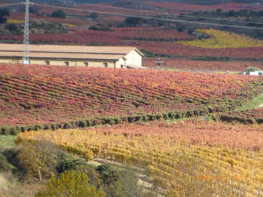 The Three Sub Regions (Appellations) of La Rioja include Rioja Baja, Rioja Alta and Rioja Alavesa.