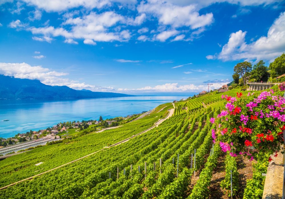 Guide to Swiss Wine and the Wine Regions of Switzerland