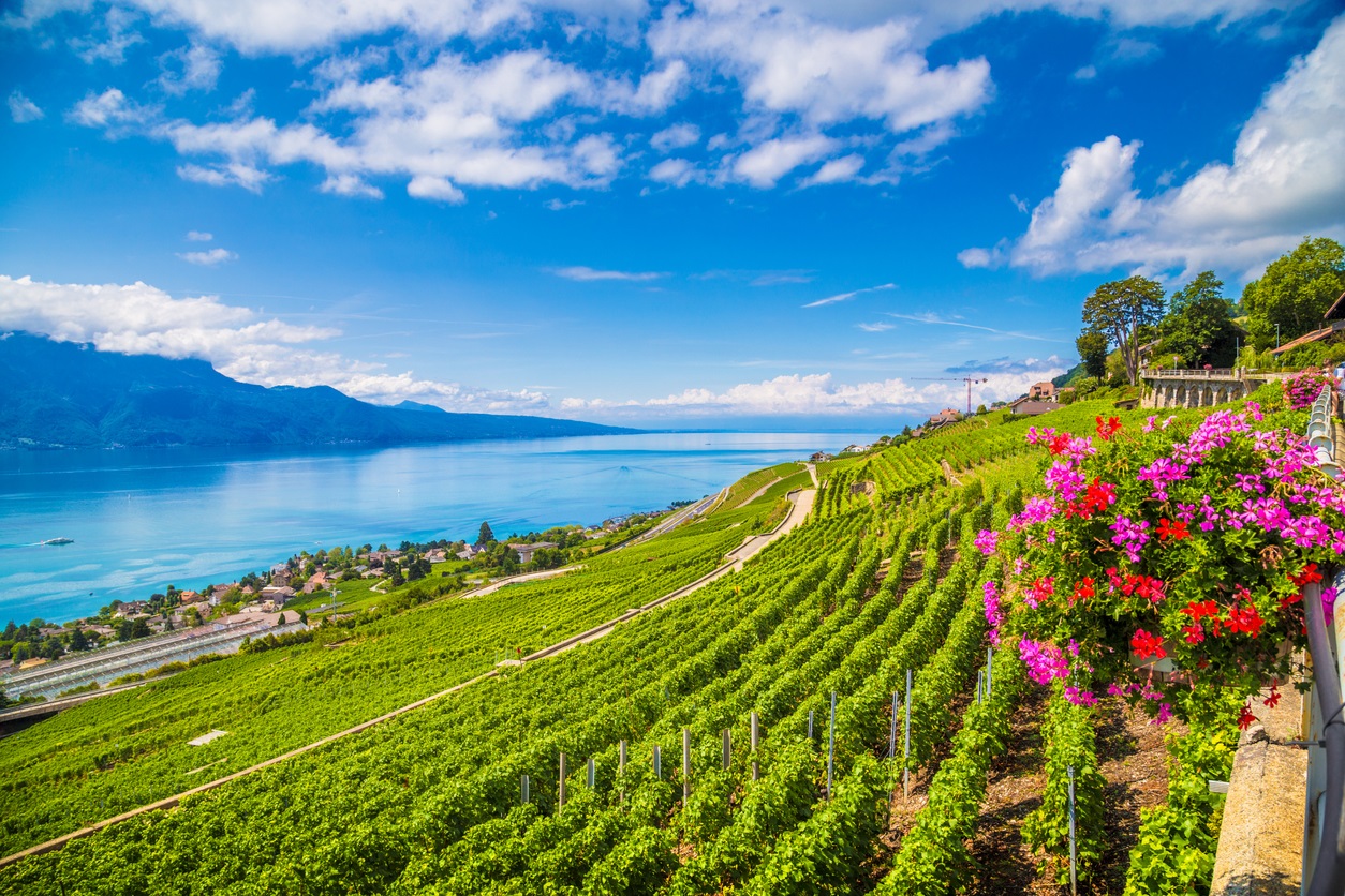 Switzerland Wine Discover Swiss Wine & Regions