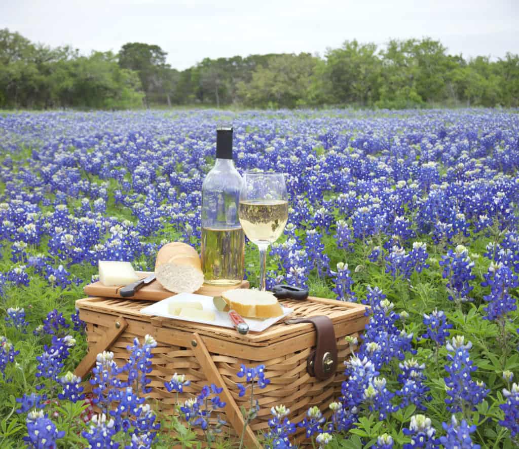 wine tours near dallas tx