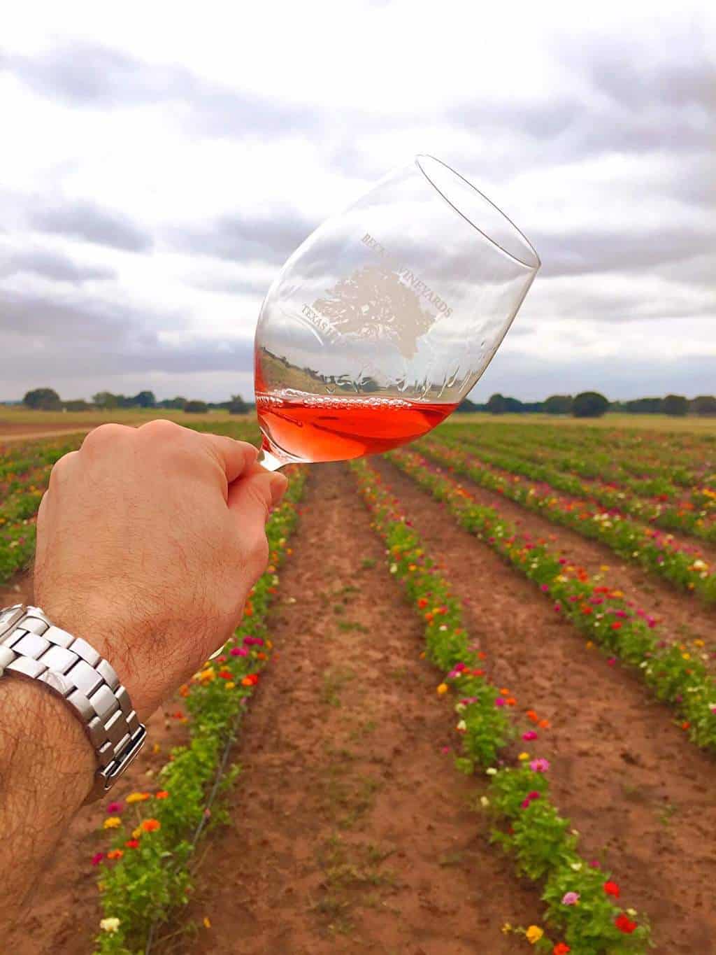 The Best Texas Hill Country Wineries to Visit •
