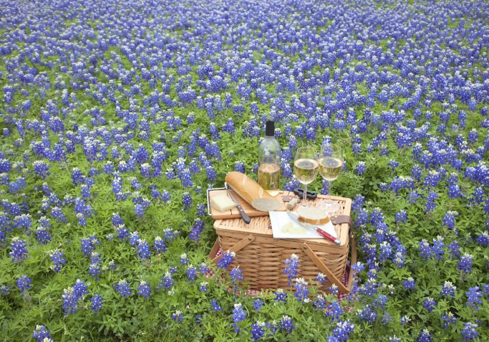 Best Texas Hill Country Wineries to Visit • Winetraveler