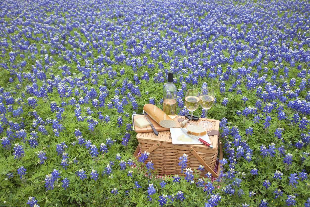 Best Texas Hill Country Wineries to Visit • Winetraveler