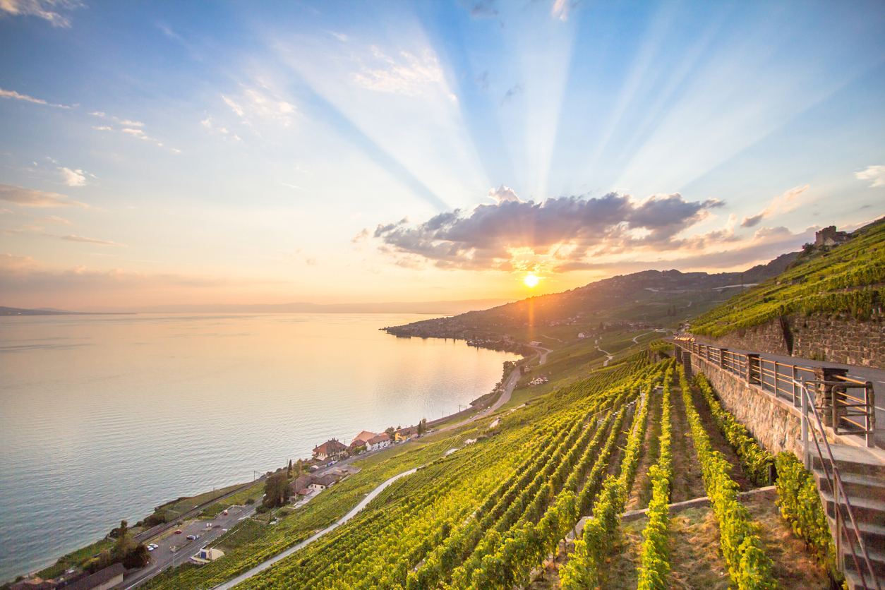 The Best Wine Regions to Visit Around the World Currently | Winetraveler.com