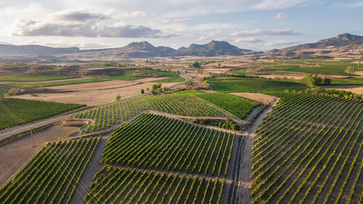 Aerial view of the Rioja wine region