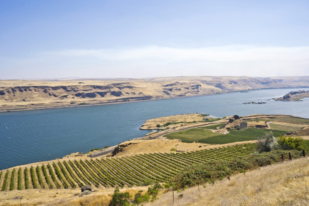 Columbia Valley wine region