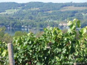 Keuka Springs Vineyards