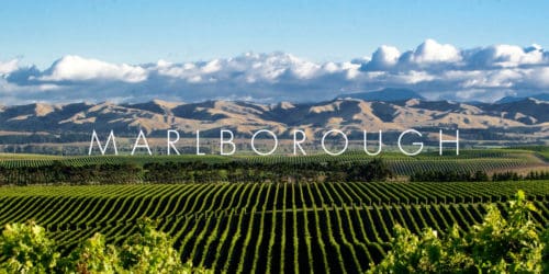 New Zealand Wine Regions | Marlborough Wine Region