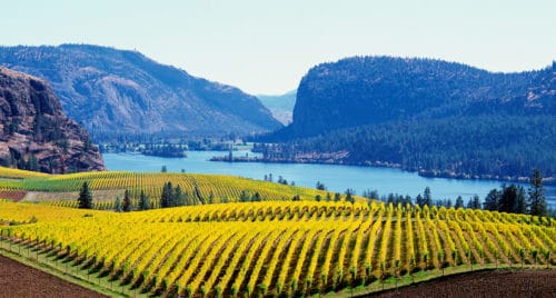 Okanagan Valley British Columbia Wine Region in Canada | Best Wine Region to Visit in Canada