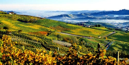 The Paso Robles Wine Region of California, Central Coast | Best Wine Regions to Visit in California