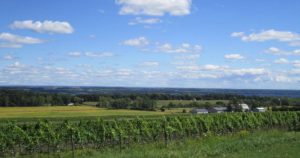Ravines Wine Cellars