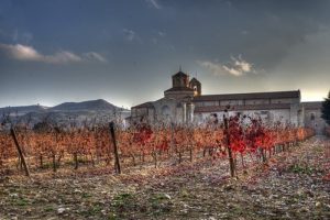 Visit the Ribera del Duero Wine Region of Spain | Winetraveler.com