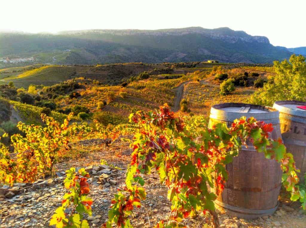 The Wine Regions of Spain Information | DOQ Priorat | Winetraveler.com
