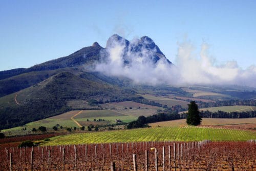 Stellenbosch South Africa Wine Region | Best Wine Regions to Visit in South Africa