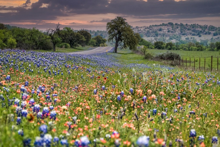 Beautiful view in the Texas Hill Country wine region