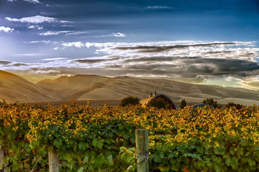 Walla Walla wine region