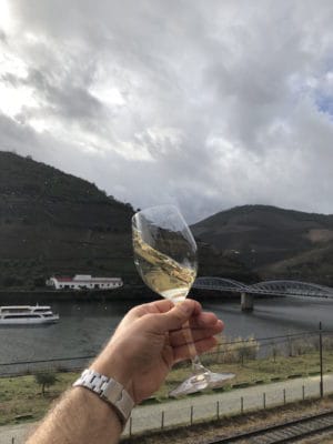 The White and Red Wines and Grape Varieties of the Douro Valley Wine Region in Portugal | Winetraveler.com