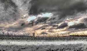 Best Times of the Year to Visit Vineyards | Winter Wine Travel | Winetraveler.com