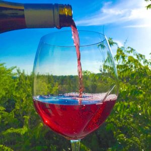 Facts About Sulfites in Wine | Are Sulfites Bad For You? Do They Cause Headaches? | Winetraveler.com