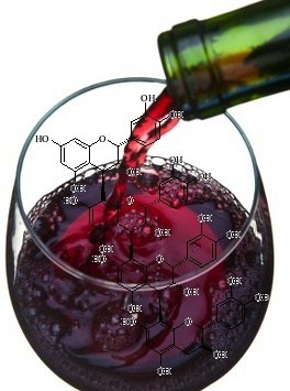How Tannins Affect the Sensation of Astringency in Wine