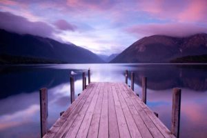 7 Best New Zealand Wine Regions to Visit