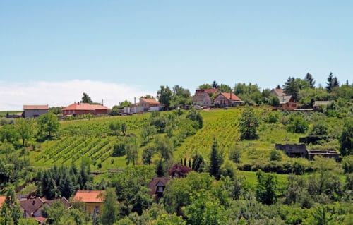Eger, Hungary Wine Region Tips & Travel Guide | Winetraveler.com
