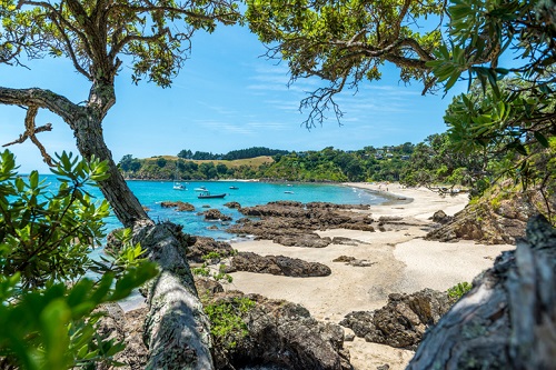 The view while hiking along the beach on Waiheke Island, New Zealand.