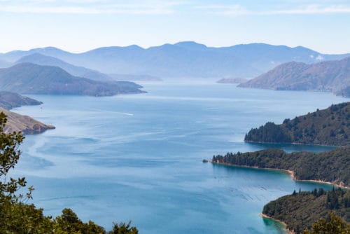 New Zealand's Premier Wine Region to Visit - Marlborough | Winetraveler.com