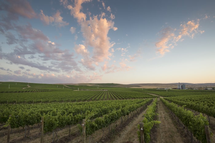 Dennis Cakebread Wine Industry and Mullan Road Cellars | Winetraveler.com
