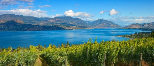 Okanagan Valley BC Wine Country Guide - Summerhill Pyramid Winery | Winetraveler.com