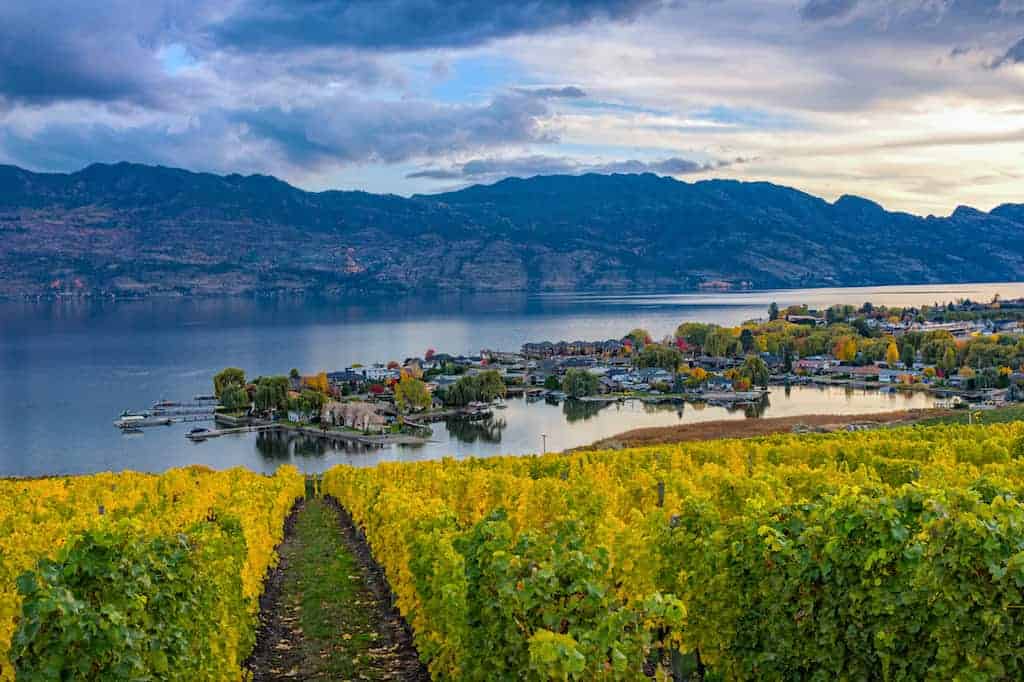 Information on Okanagan Wine Country in BC | Okanagan Wineries and Sub-Regions | Winetraveler.com