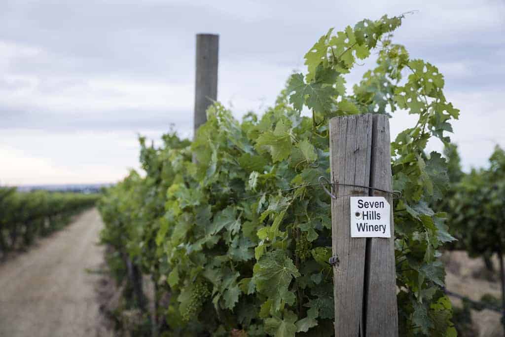 About Seven Hills Winery & Tasting Room | Seven Hills Winery Walla Walla | Winetraveler.com