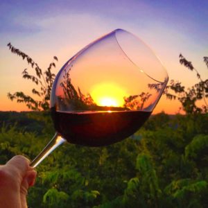 What are Sulfites in Wine and are Sulfites bad?