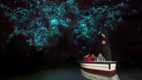 Best New Zealand Regions to Visit | Explore underground caves in Waitomo near Hamilton | Winetraveler.com