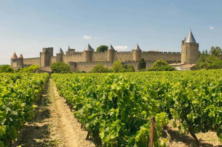 Carignan