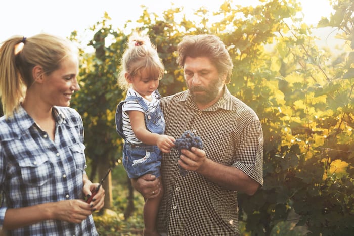 How To Plan The Perfect Family Wine Vacation | Winetraveler.com
