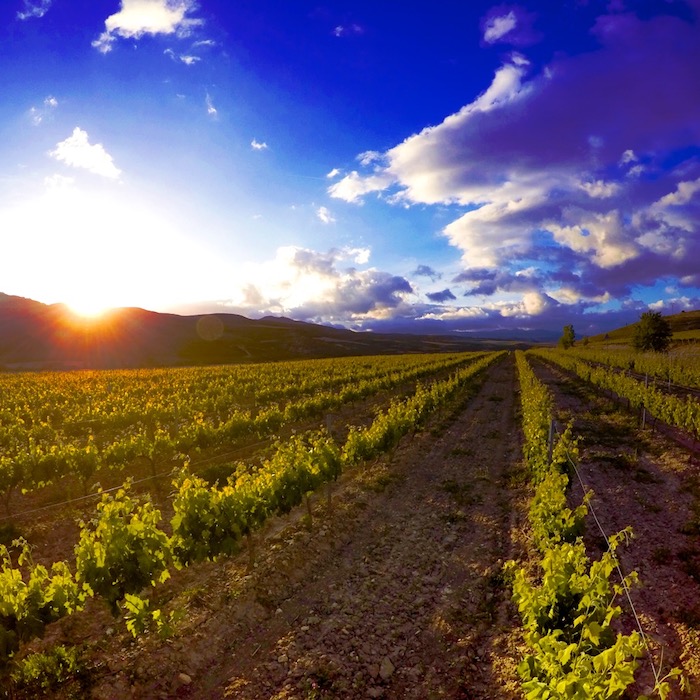 Best of Spain 3 Week Travel Itinerary | Visiting La Rioja | Winetraveler.com