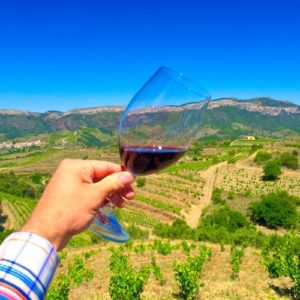 3 Weeks in Spain Itinerary | Visiting The Priorat Wine Region Day Trip | Winetraveler.com