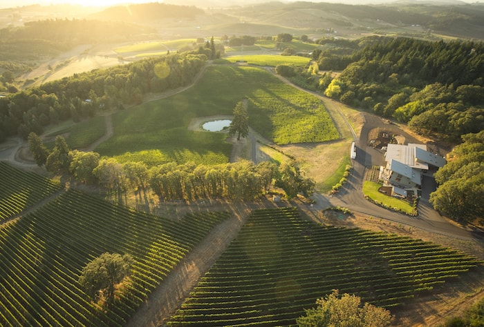 Helicopter Wine Tours Oregon - Views over Alexana Winery in the Willamette's Dundee Hills