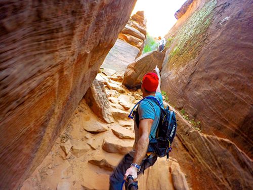 Zion National Park Itinerary and Hikes to Do | Zion National Park Emerald Pools