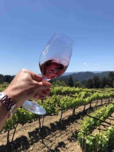 Burrell School Vineyards & Winery