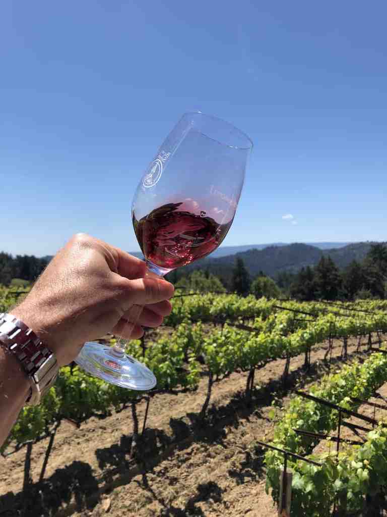 Yoga and Wine Tasting!  Burrell School Vineyards & Winery