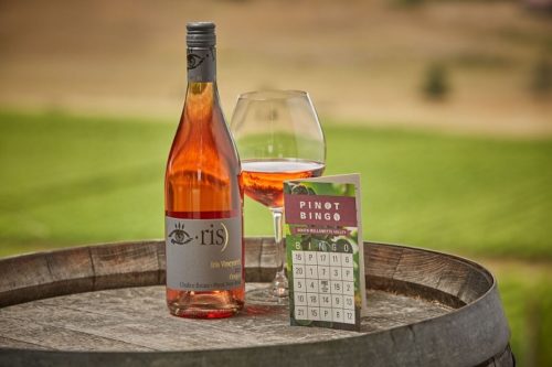 Pinot Bingo in Southern Willamette Valley Oregon | Winetraveler.com