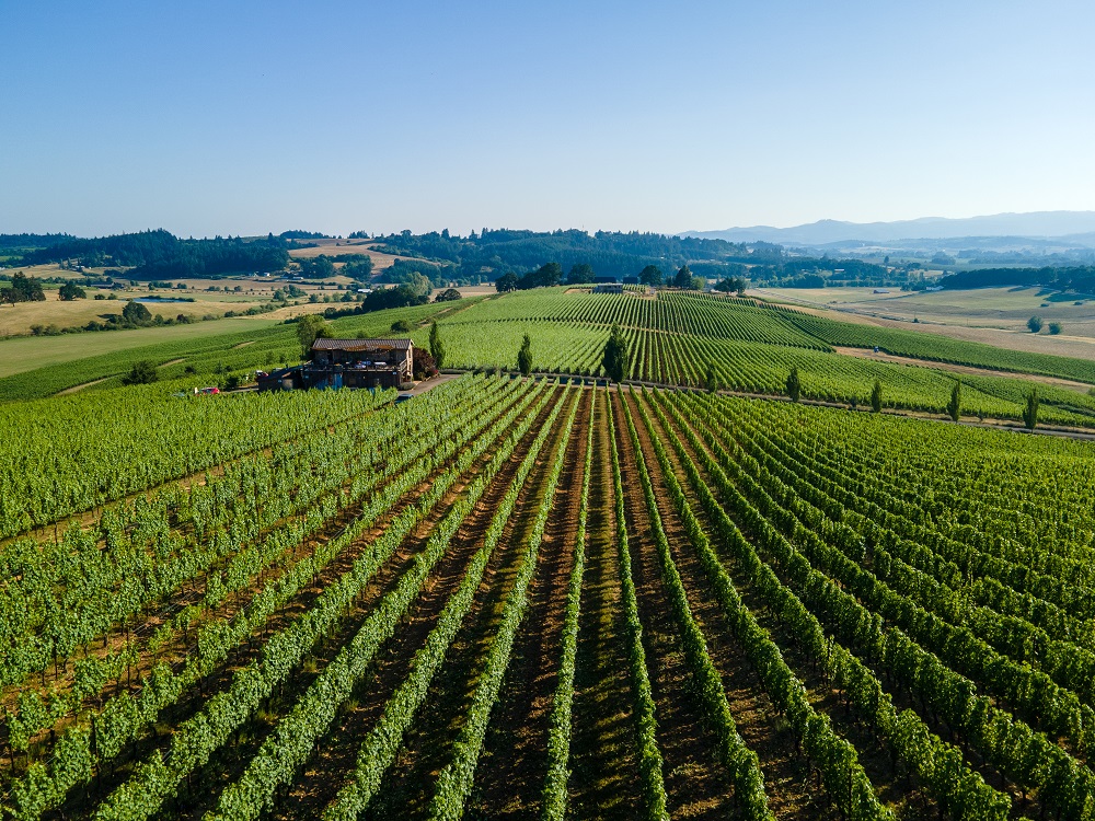 The Essential Willamette Valley Itinerary and Wine Region Guide | Winetraveler.com