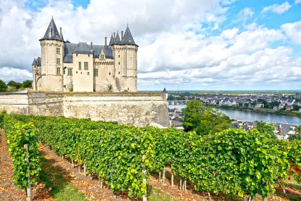 France's Loire Valley Castles, Wine and Tourism | Winetraveler.com