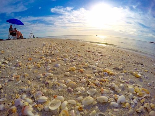 Best Beaches for Shell Hunting on Sanibel Island | Winetraveler.com