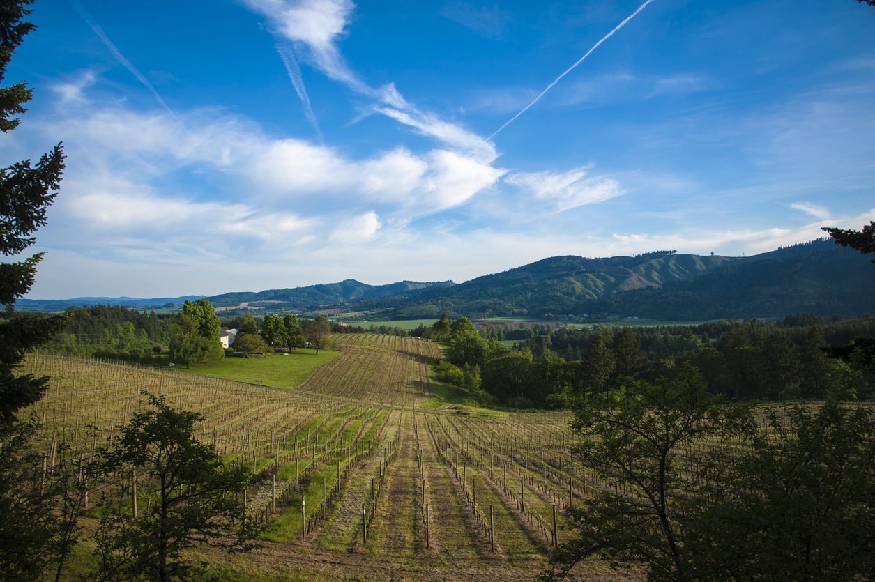 Ultimate Willamette Valley Itinerary for Wine Lovers